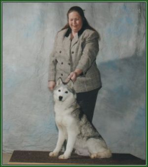 Photo of Innisfree Kimba Wood