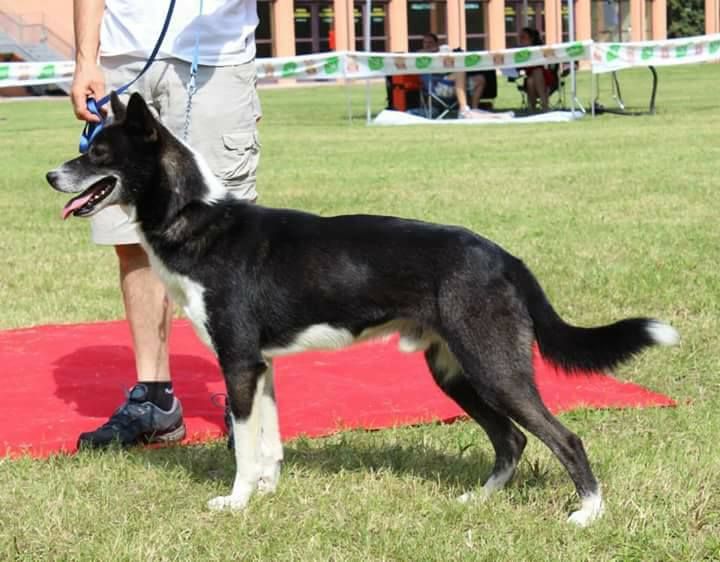 Photo of Quest-Frofire de Loufranc