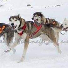 Photo of Thor (Italia)