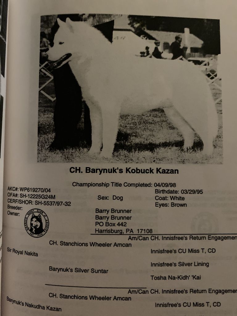 Photo of Barynuk’s Kobuck Kazan