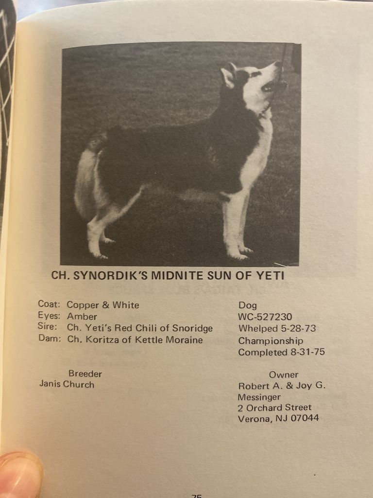 Photo of Synordik’s Midnite Sun of Yeti