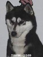 Photo of Kryska’s Minnie Might