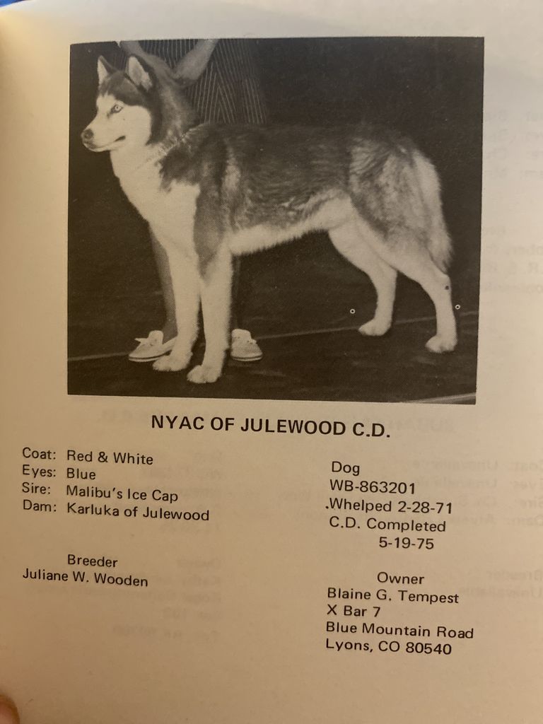 Photo of Nyac of Julewood