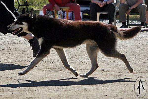 Photo of Nay-La-Chee's Bark