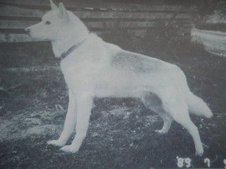 Photo of Snowtrails Zero