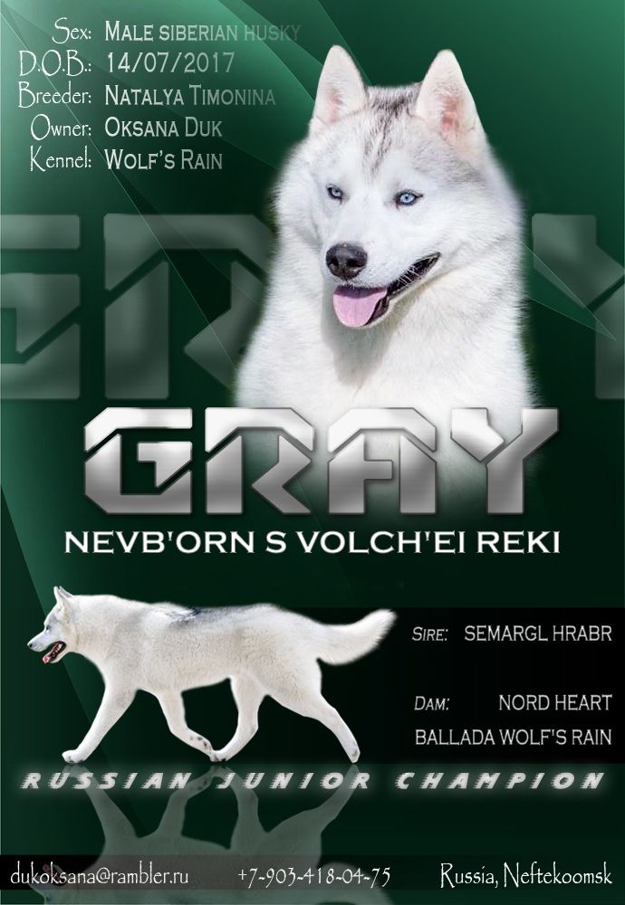 Photo of Newborn S Volchyey Reki