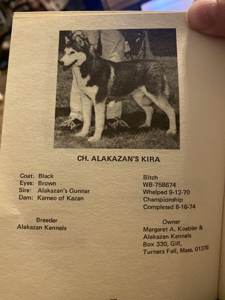 Photo of Alakazan’s Kira