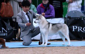 Photo of Kali Of Winners Valley