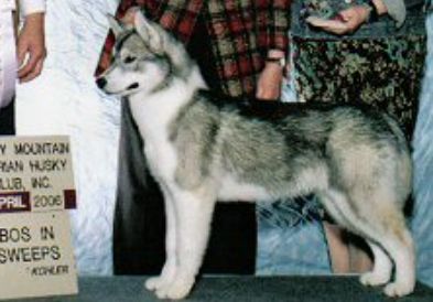 Photo of Digga Tunna Of The Midnight Sun