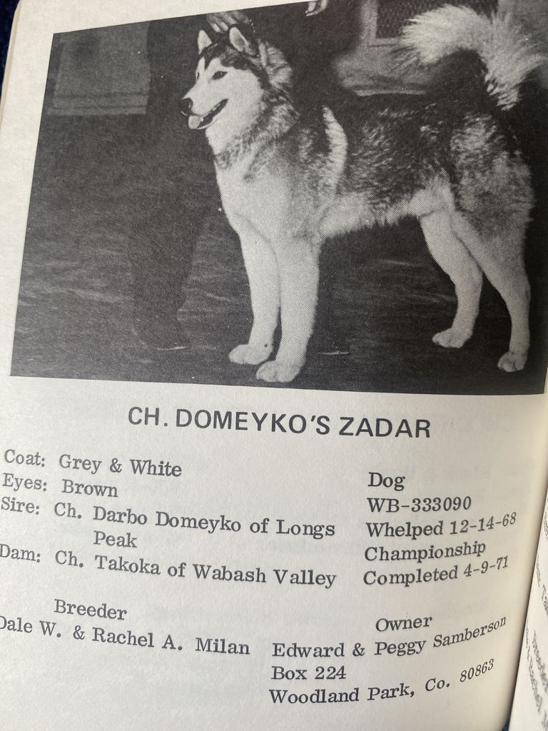 Photo of Domeyko’s Zadar