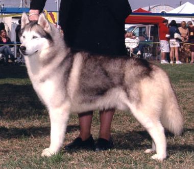 Photo of Amahok’s Turn Back Time