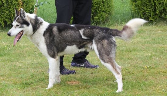 Photo of Trailbound Lokiboden's Trek