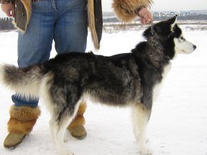 Photo of Alaska