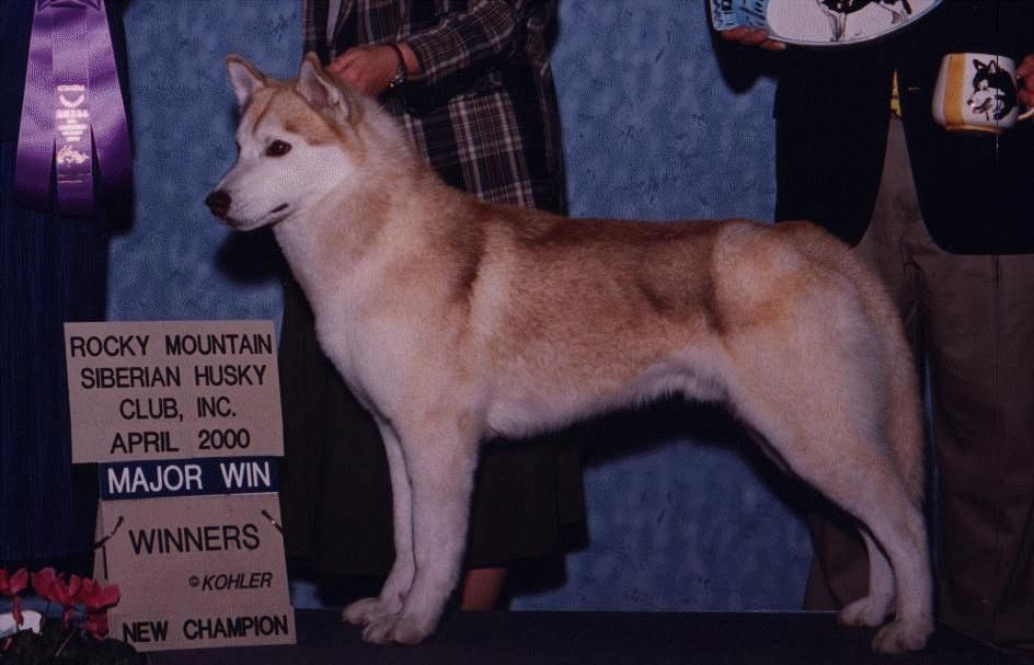 Photo of Sno-Magic’s Red Woof