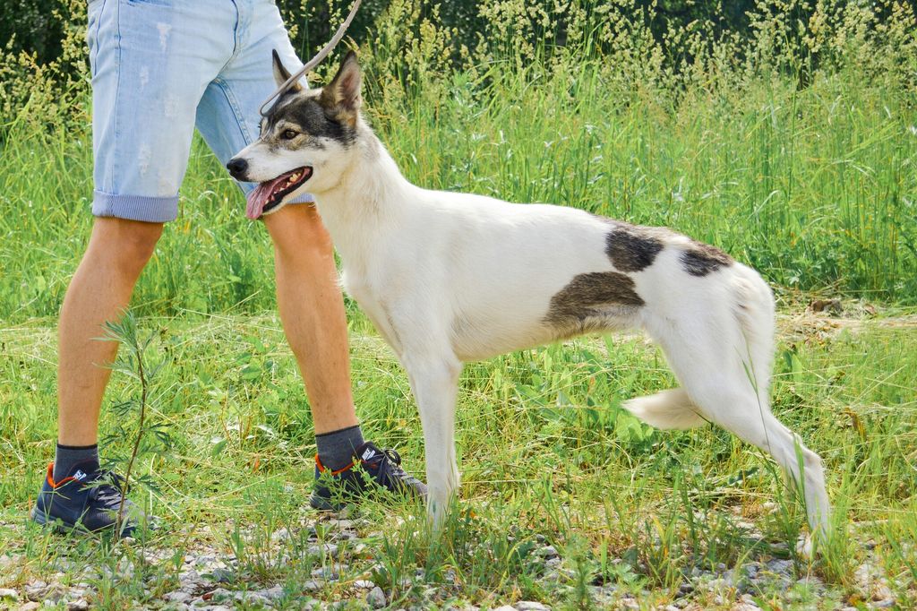 Photo of Are to Run Okidoki