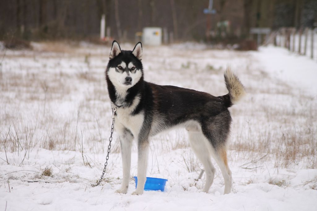 Photo of Nuyvilaq Born To Be A Miracle
