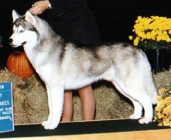 Photo of Rockland’s Starrbuck