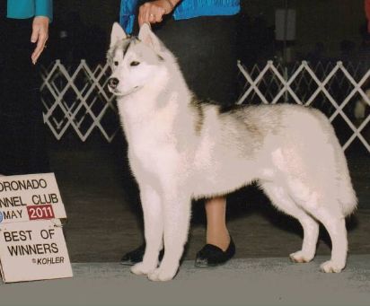 Photo of Walk On By Of The Midnight Sun