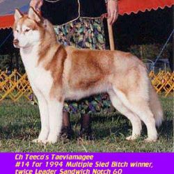 Photo of Teeco’s Taeviamagee