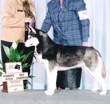 Photo of Kortar’s Kinderella