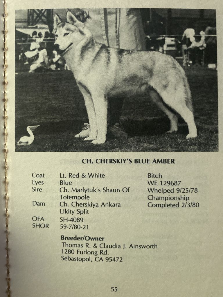 Photo of Cherskiy’s Blue Amber