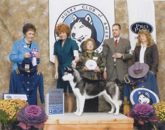 Photo of Snoebear’s Lady Merrick Of Terkron