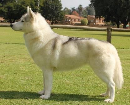 Photo of Kamchatka Haute Couture