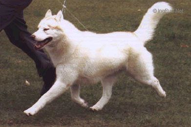 Photo of Pitarak Of Bakerlake