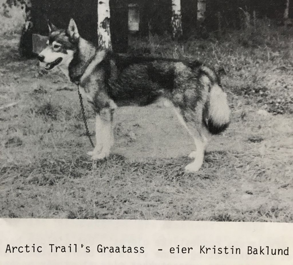Photo of Arctic Trail’s Graataas
