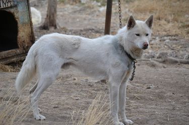 Photo of Shaytaan’s Psycho Killer