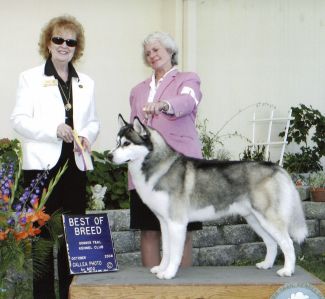 Photo of Husker Du's Reign of Havok