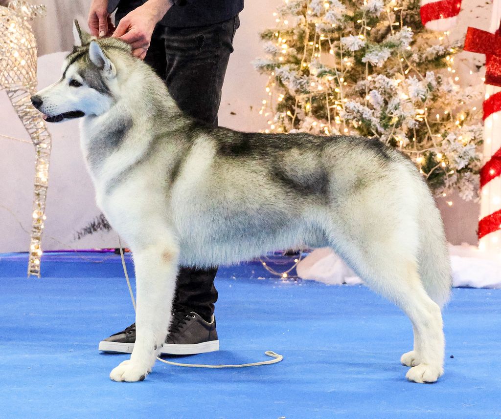 Photo of Olgivan Show Alohomora