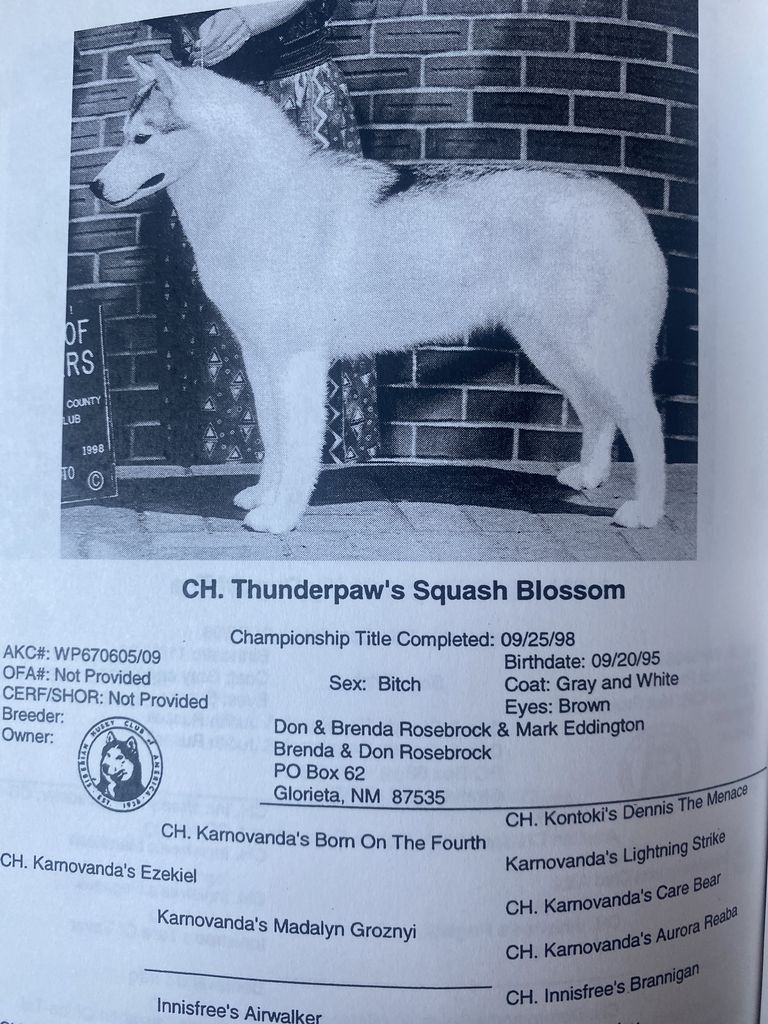 Photo of Thunderpaw’s Squash Blossom