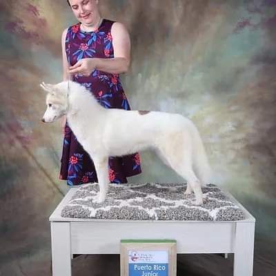 Photo of Koori Yama’s Fulfillin’ My Destiny