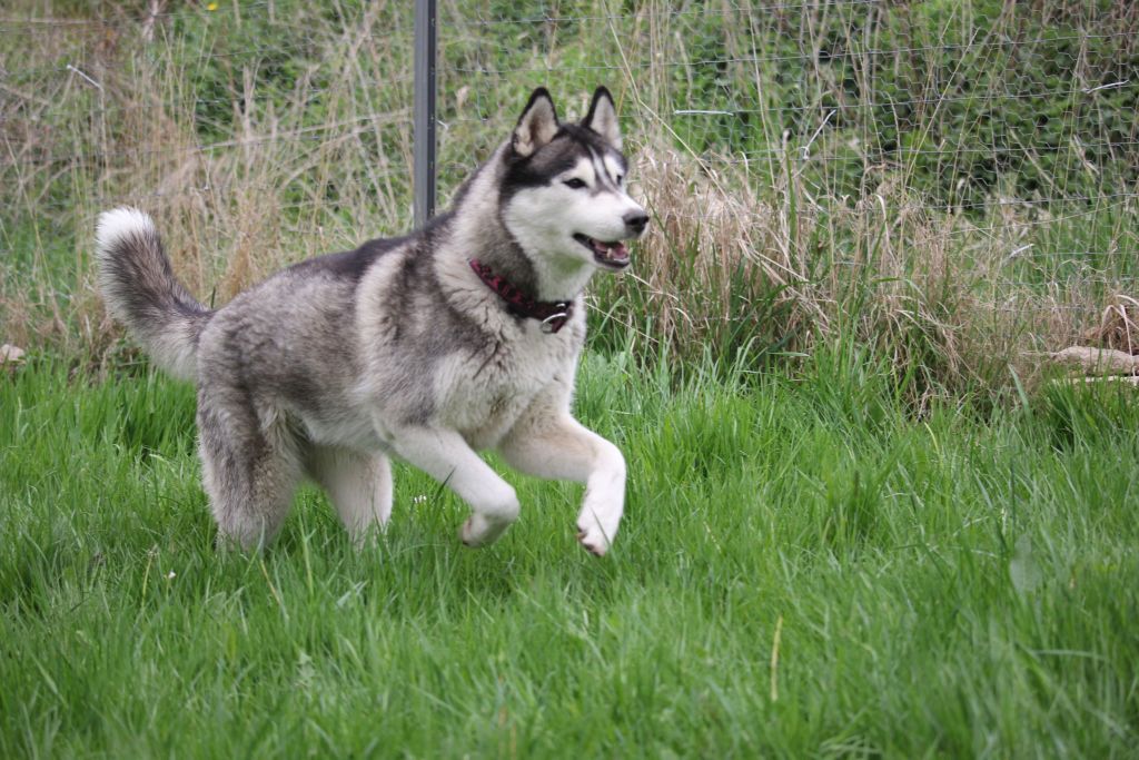 Photo of Zaltana Kissed By An Angel In Kahnawake
