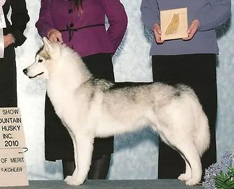 Photo of Kayenta’s Sacred Spirit