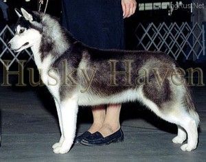 Photo of Kivalina’s Desiree