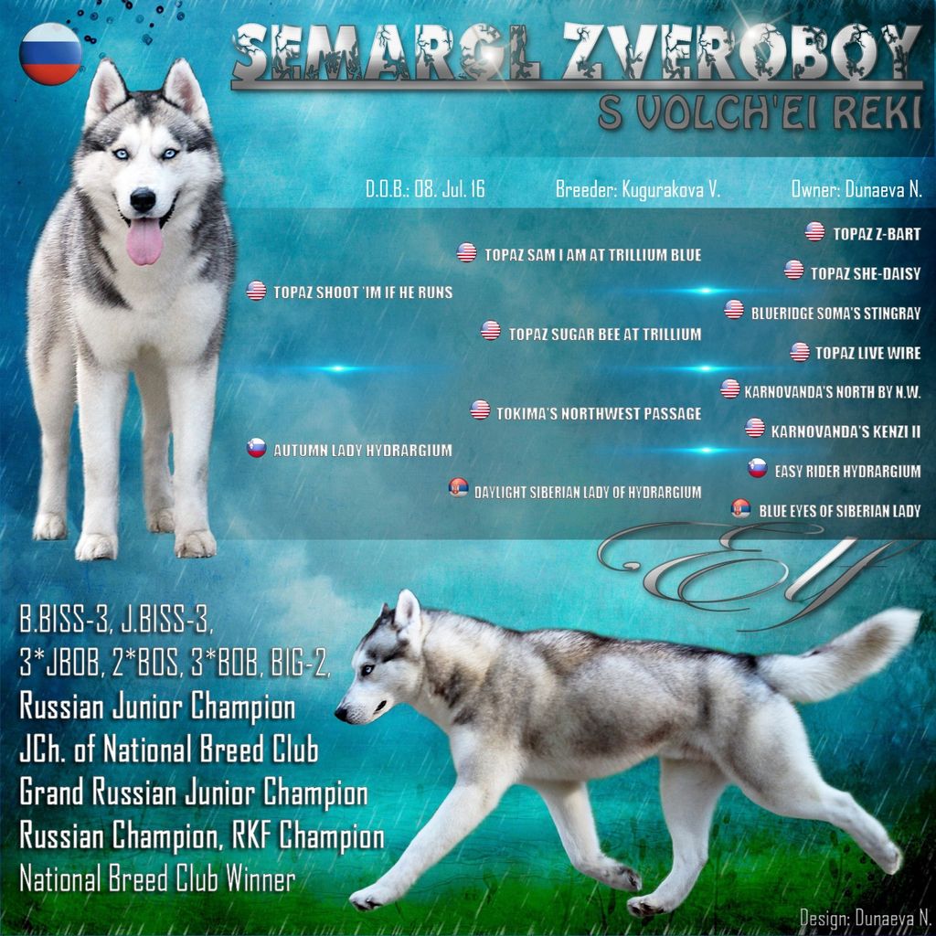 Photo of Semargl Zveroboy s Volch’ei Reki