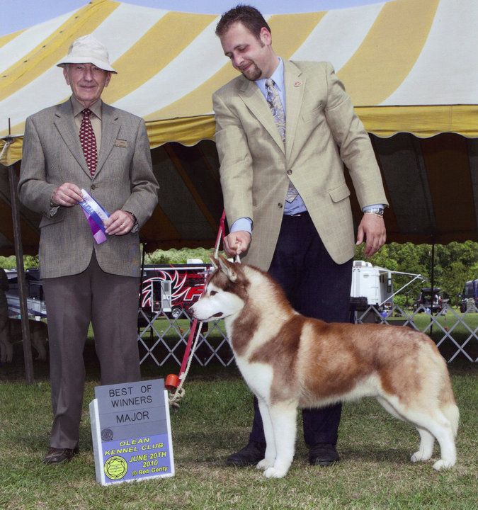Photo of Kristari’s Maximum Deal