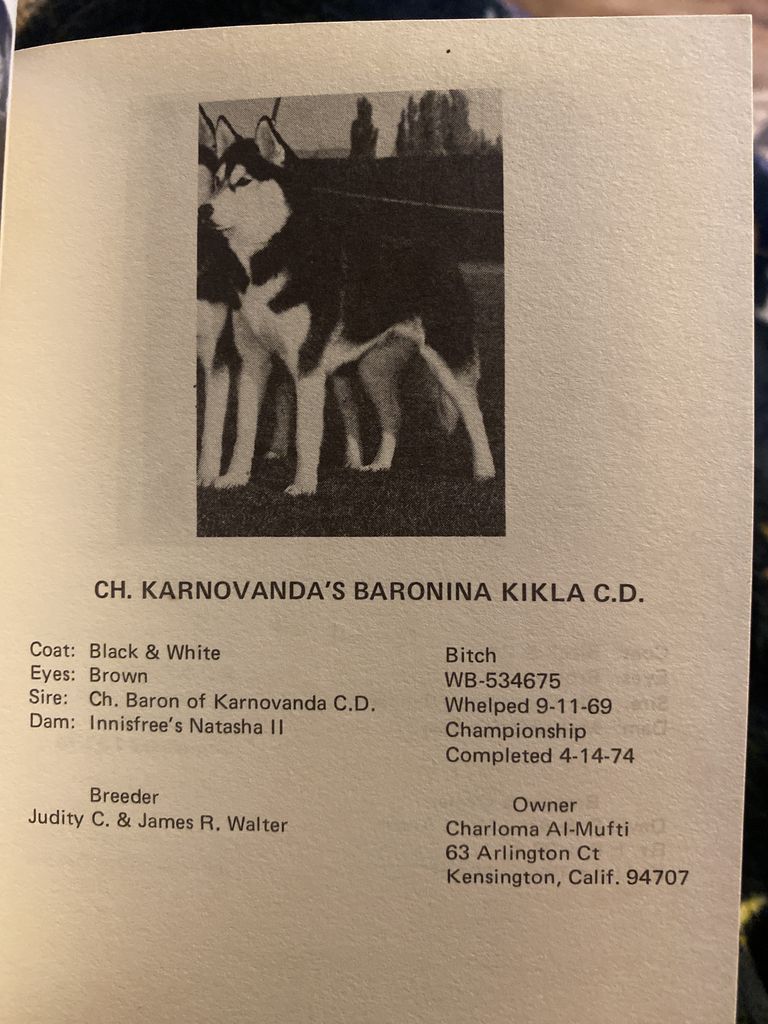 Photo of Karnovanda’s Baronina Kukla
