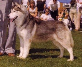 Photo of Baltic Pacesetter