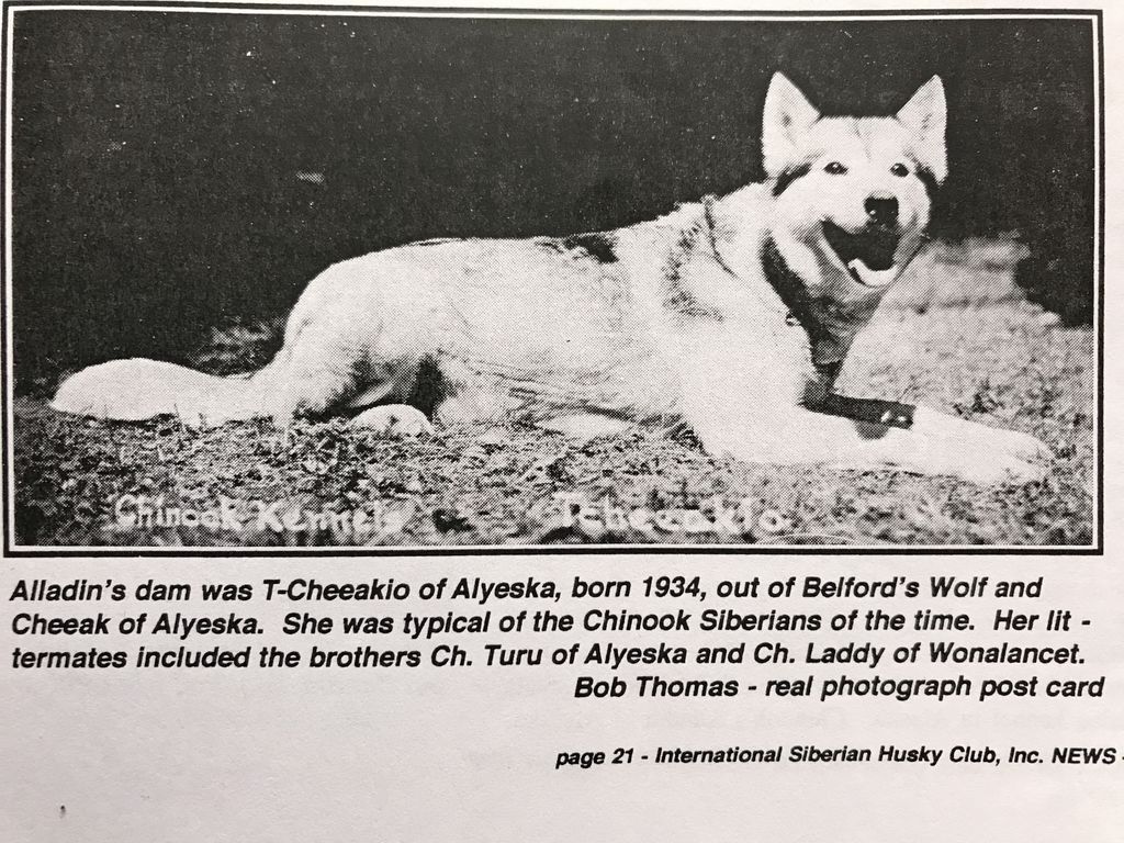 Photo of Tcheeakio Of Alyeska