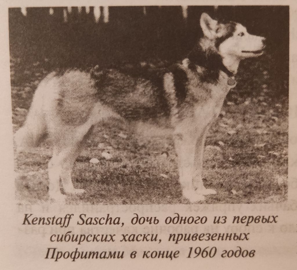 Photo of Kenstaff Sascha