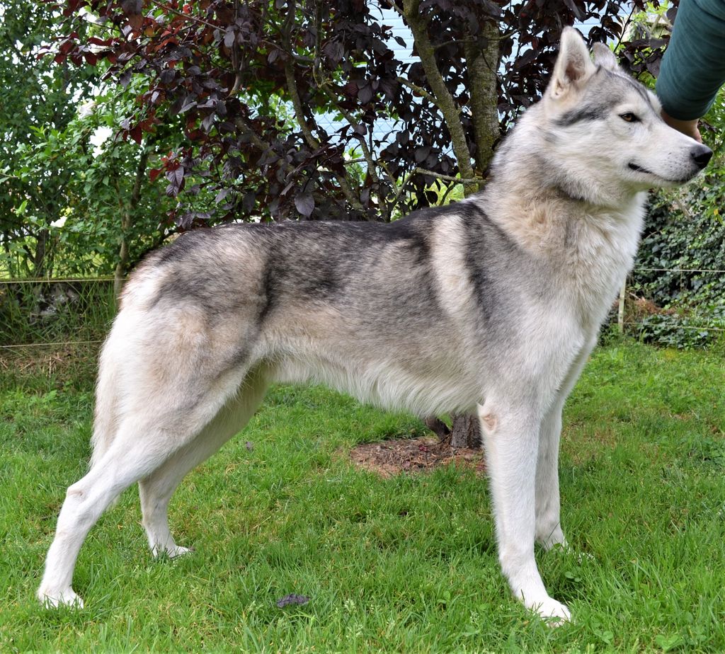 Photo of Ninja of Cheyenne's Spirit