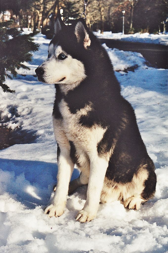Photo of Talocon’s Polar Trailblazer