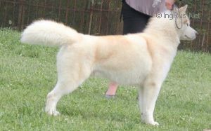Photo of Vento Libero Kimlach Arakati Vale