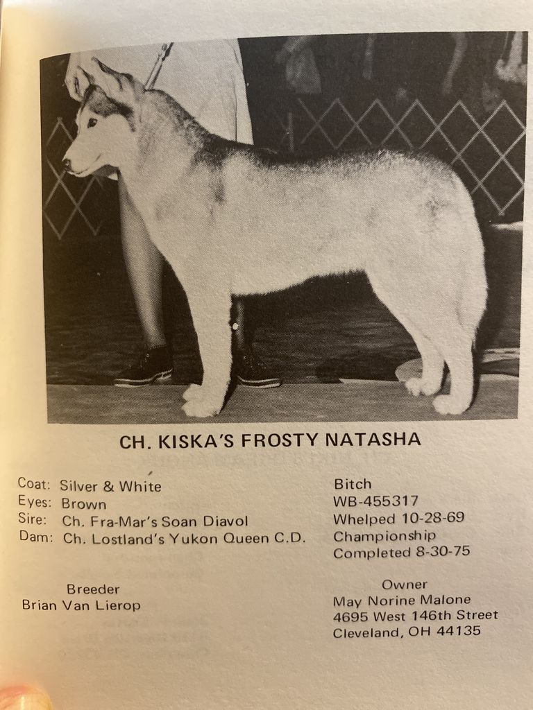 Photo of Kiska’s Frosty Natasha
