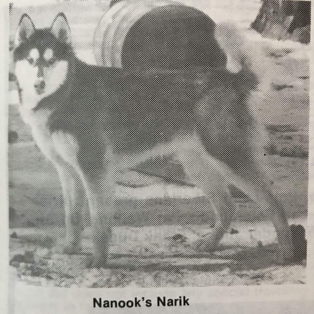 Photo of Nanook’s Narik