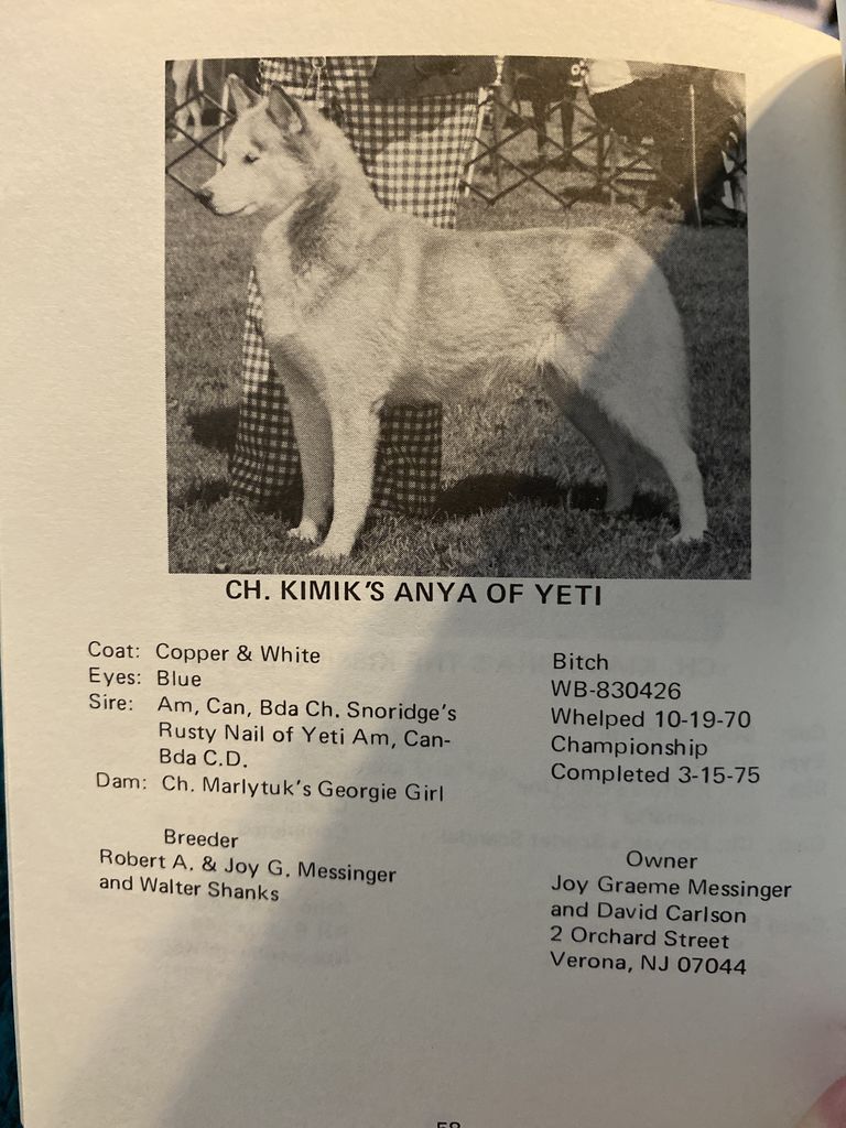 Photo of Kimik’s Anya of Yeti