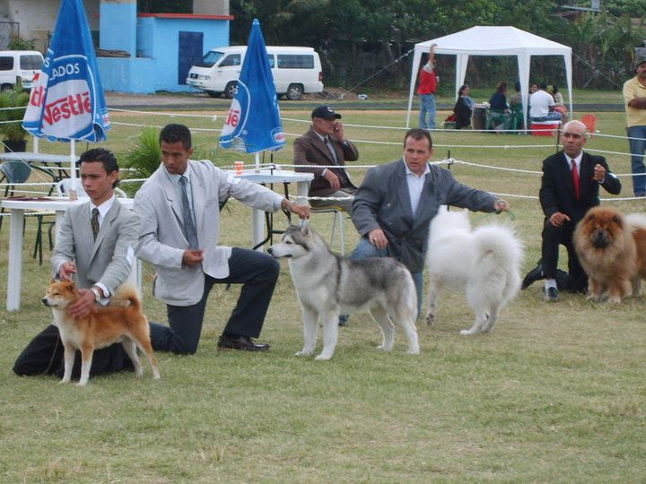 Photo of Magnum Zar de la India